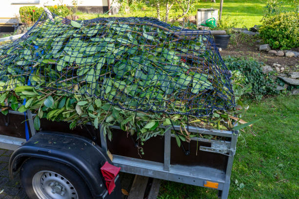 Property Management Cleanouts in Healdsburg, CA